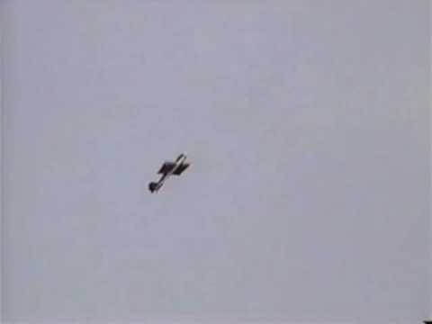 Pizazz -Hanger-9 -Arf