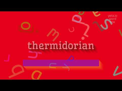 THERMIDORIAN - HOW TO PRONOUNCE IT? #thermidorian