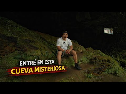 Día 16: Ruta los Guayacanes (Yanzatza) | Vuelta a Zamora Chinchipe 