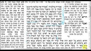 דף יומי מסכת תענית דף ט - קריאה קצרה וברורה בגמרא עצמה