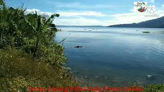 Download lagu 'Seminung'Lagu Daerah Lampung||Lirik Lagu dan Arti mp3 Download lagu 'Seminung'Lagu Daerah Lampung||Lirik Lagu dan Arti mp3