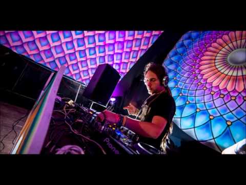 Virtual Light & Filterheads - Electric Lady Bug