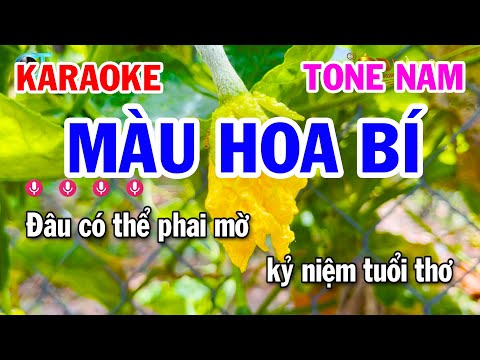 Karaoke Màu Hoa Bí Tone Nam (A#m La # Thứ) || Tuấn Cò Karaoke
