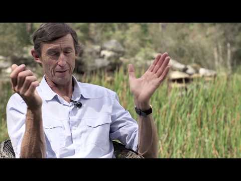 TMS | An incredible story