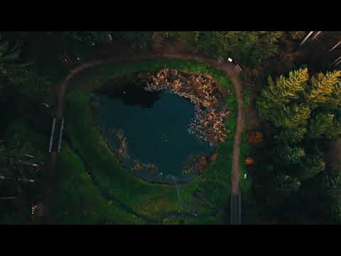 Forest Drone Footage Schuttertal