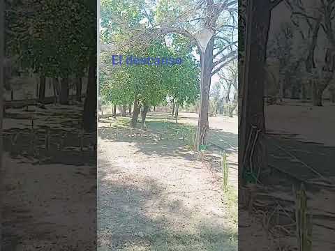 saenz peña chaco .argentina