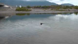 preview picture of video 'puente de tlapehuala guerrero'