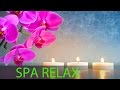 Música para sua meditação de hoje