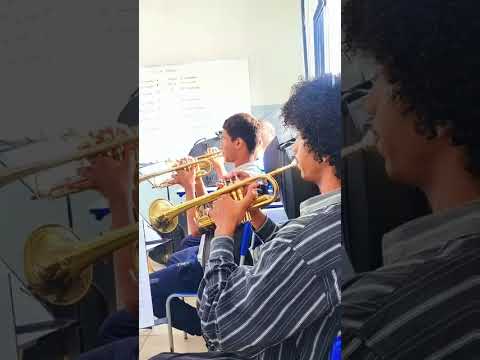 Projeto Tocando & Educando  Produção Cultural Rodrigo Lima Cidade Ocidental -Go