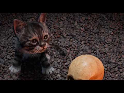 Blender-kit in use: Making Kitten and Skull in blender 2.8 stable release