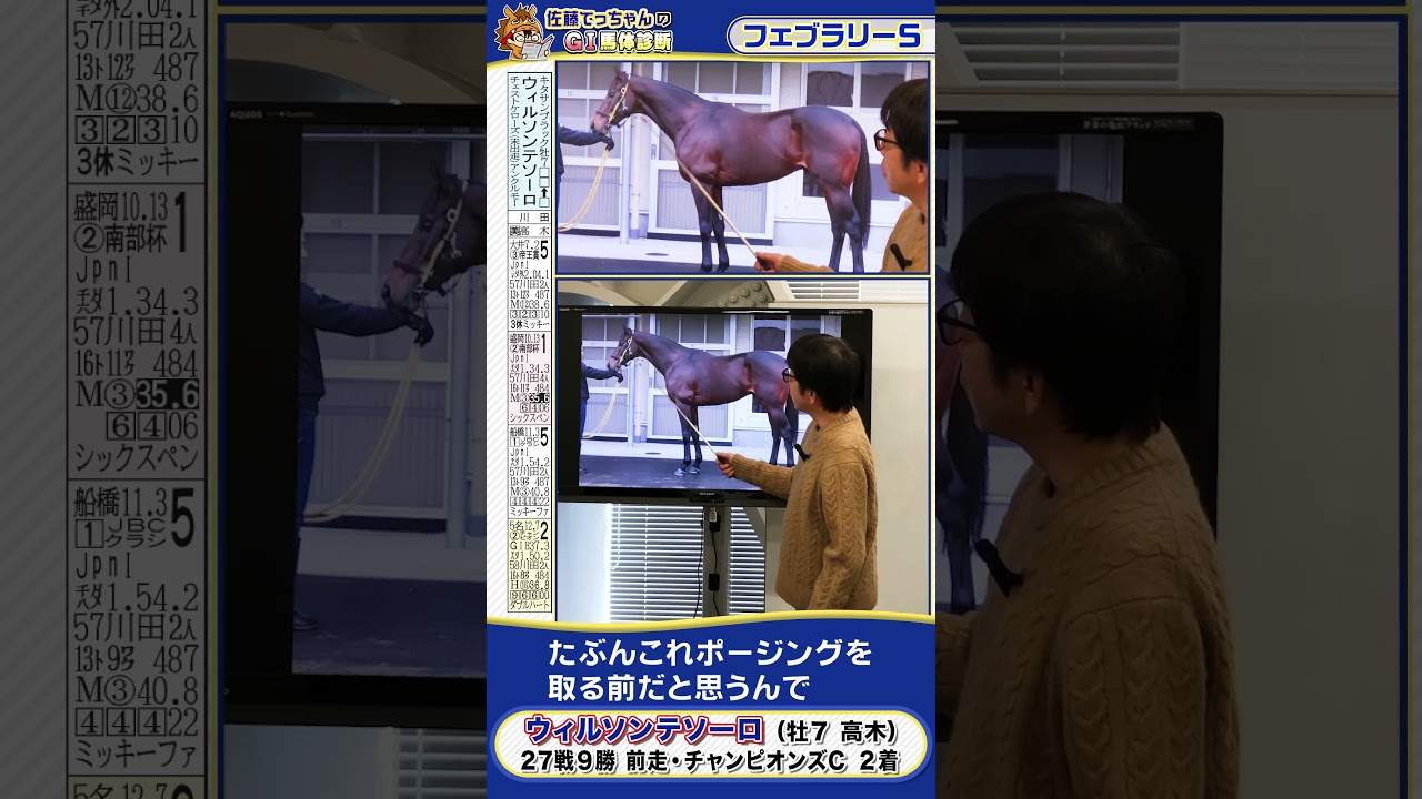 【2026年 フェブラリーＳ】ウィルソンテソーロの馬体診断　 #shorts #競馬 #予想