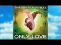 Shaggy - Only love ft Pitbull & Gene Noble ...