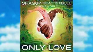 Shaggy - Only love ft Pitbull &amp; Gene Noble - Official Lyric Video