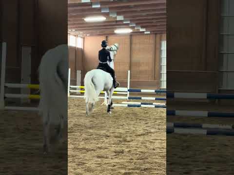 Remi Van De Vrunte video 4