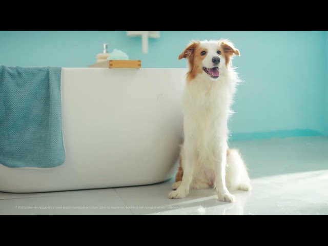 Моющий пылесос Xiaomi Dreame Trouver K10 Pro