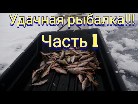 Фото Вот это я понимаю рыбалка!!! Море удовольствия на Секушу))))