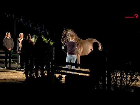 Regilio Hengstschau Verdinale 2019