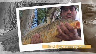 דיג קרפיונים בכנרת קיץ2021 | carp fishining | Fishing in Israel