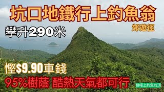 【行山都要慳錢+酷熱天氣行山系列】坑口直接行上釣魚翁郊遊徑｜酷熱天氣都可以｜輕鬆易行｜陰暗位多｜秘景｜詳細路況