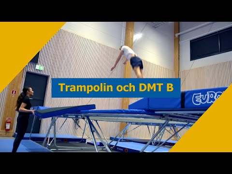 Trampolin & DMT B