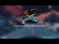 Vance Joy Riptide Pitched Down