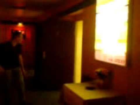 Holla die Waldfee im Schauhaus