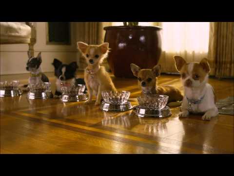 Beverly Hills Chihuahua 2 - Trailer - Disney DVD and Blu-ray