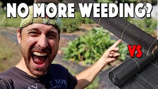 Weed Barrier Fabric Review | A GAME CHANGER For Our Garden!