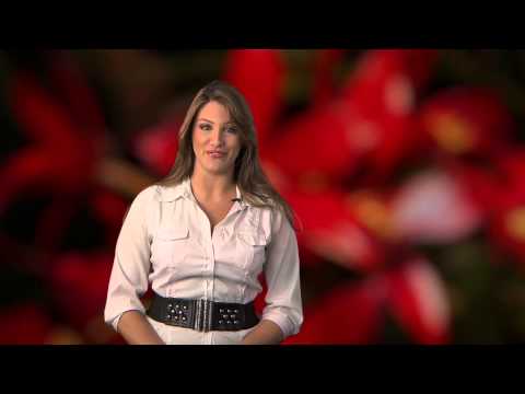 Le Bron Miami Heat Harlem Shake