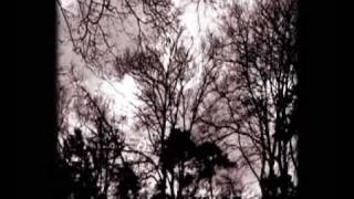 arthur brown spontaneous apple creation