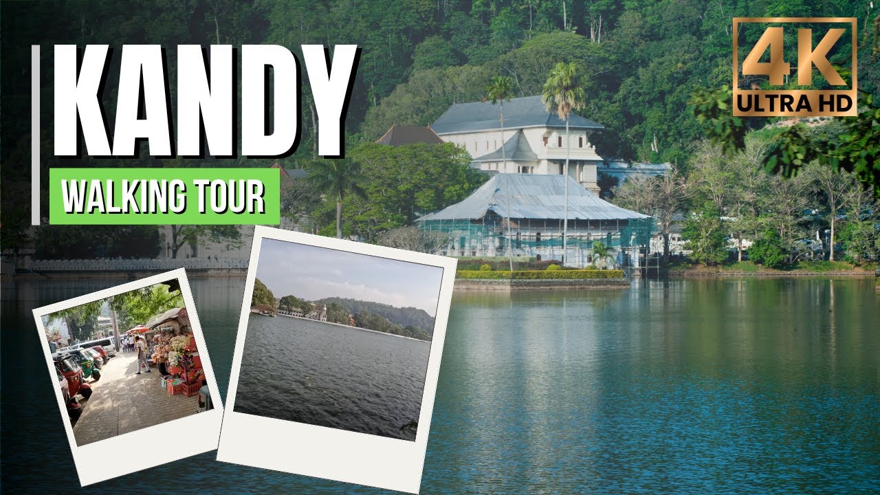 Embark on a walking tour around Kandy Lake.