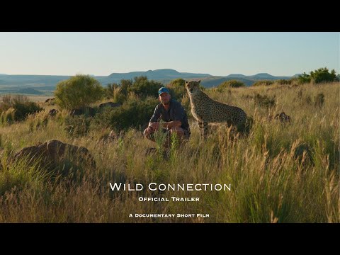 Wild Connection -  Official Teaser