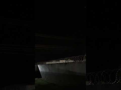 Ovini Avistado Em Sete Quedas Mato Grosso Do Sul