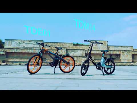 TDE01 Fashion Bicycle on Road