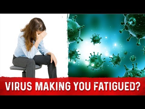 Is There A Relation Between The Epstein Barr Virus And Fatigue? – Dr. Berg
