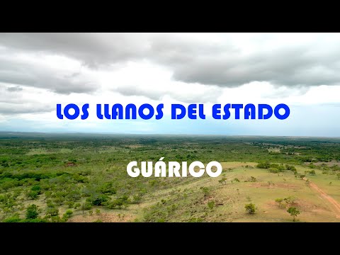 Guárico y La inmesidad del Llano Venezolano