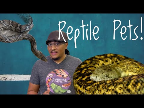 5 Snakes You’ve Never Heard of That Make Great Pets!