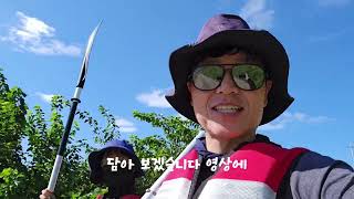 #코리아둘레길 #dmz #평화누리길 #임진강#카약#주상전리#연천군 #군남홍수조절지