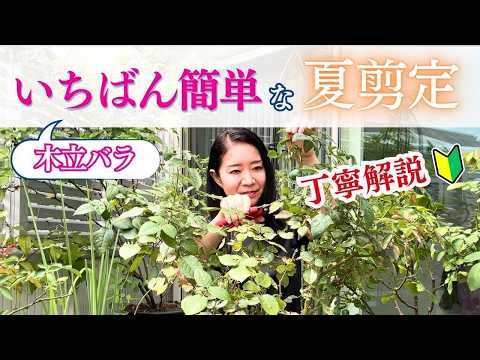 バラの剪定の時期と方法