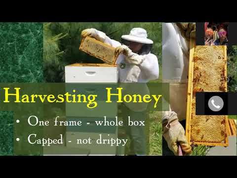 #Beekeeping -Maximize Your Hive Harvest - FCBA Meeting - Sept. 15, 2020