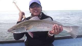 Trinidad-Fishing for Monsters on the Wreck &amp; Swamp  on the Ville-ans