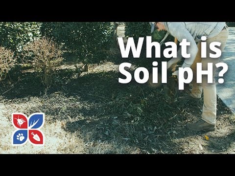  Do My Own Lawn Care - What is Soil pH?  Video 