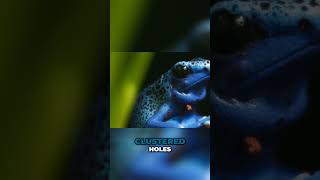 Is trypophobia a hidden survival instinct?