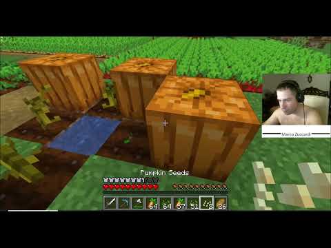 Minecraft Ep #174 (  Pc Gameplay ITA )