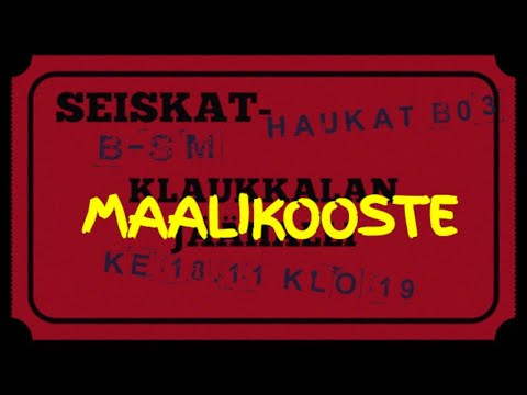 MAALIKOOSTE: Seiskat - Haukat B03  B-nuorten SM  18.11.2020
