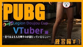 【PUBG】私の太ももを見ろ！！！！【Vtuber】