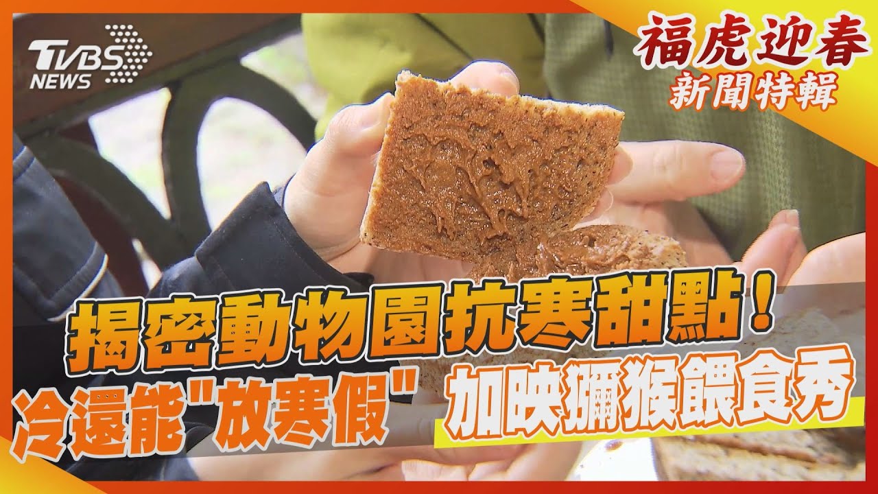 揭密動物園抗寒甜點！　太冷還能「放寒假」加映獼猴餵食秀