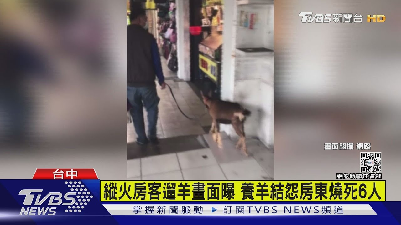 有片/縱火房客遛羊畫面曝 養羊結怨房東燒死6人