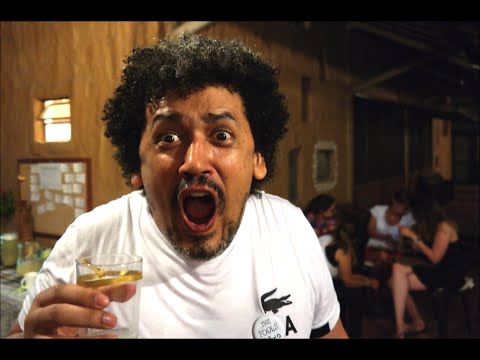 The Fools - Language immersion - Introduction