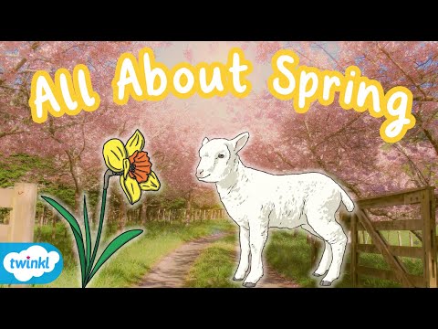 What is Spring? | Signs of Spring for Kids
